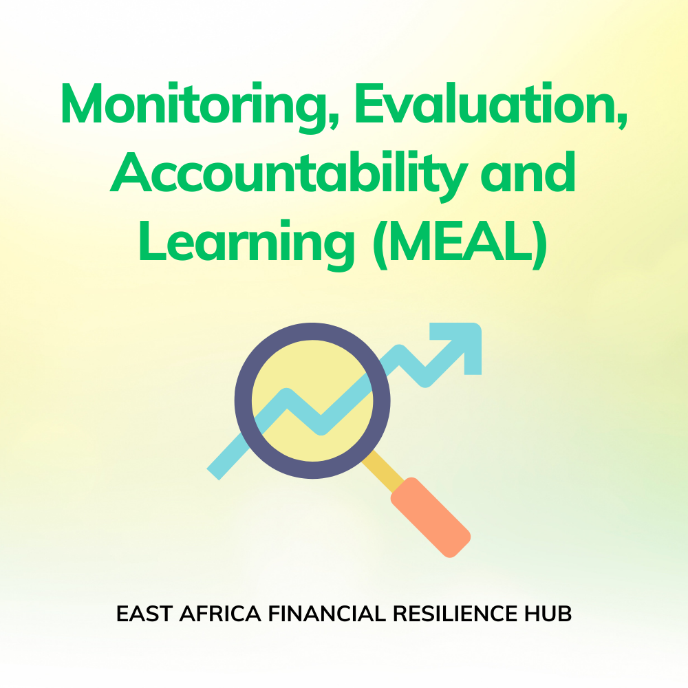 07 Monitoring, Evaluation, Accounting  and Learning (MEAL)